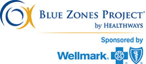 wm_bzp_logo2015