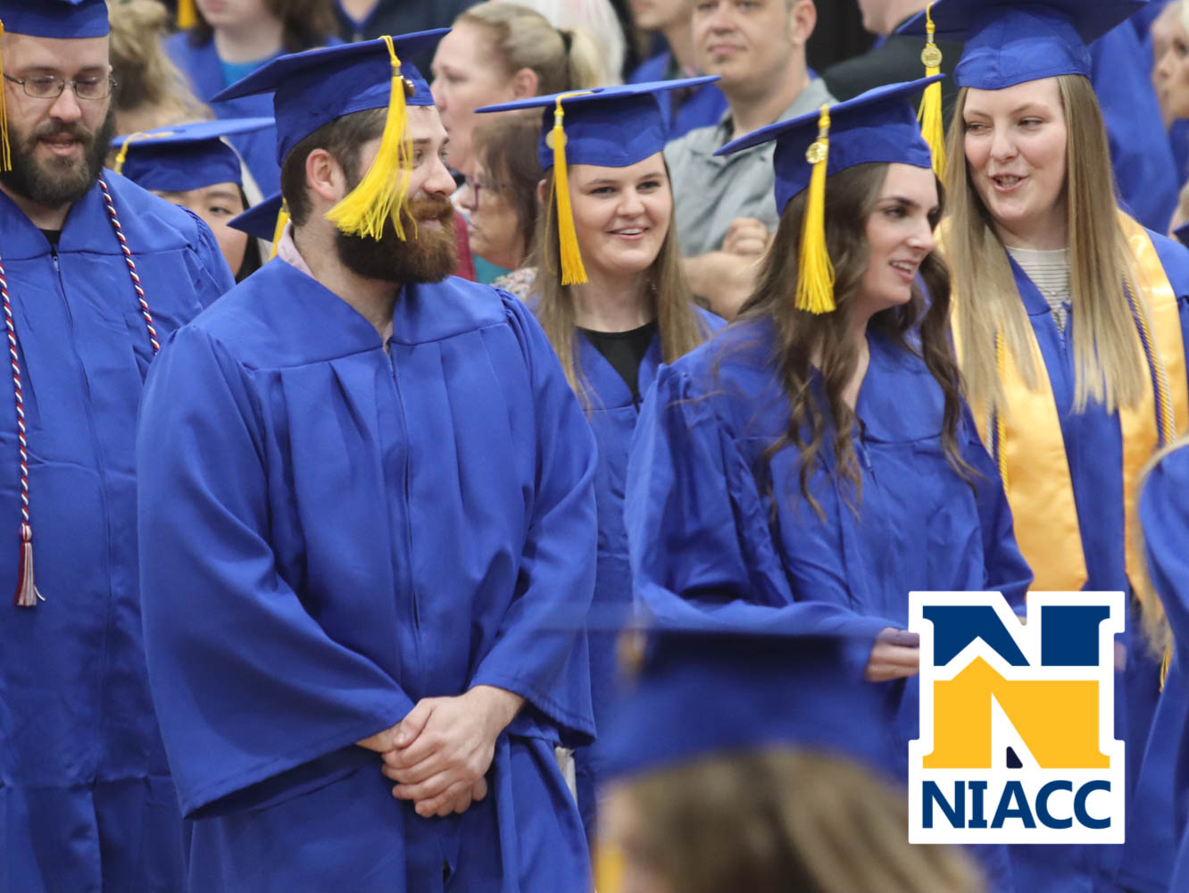 niacc_grad-20