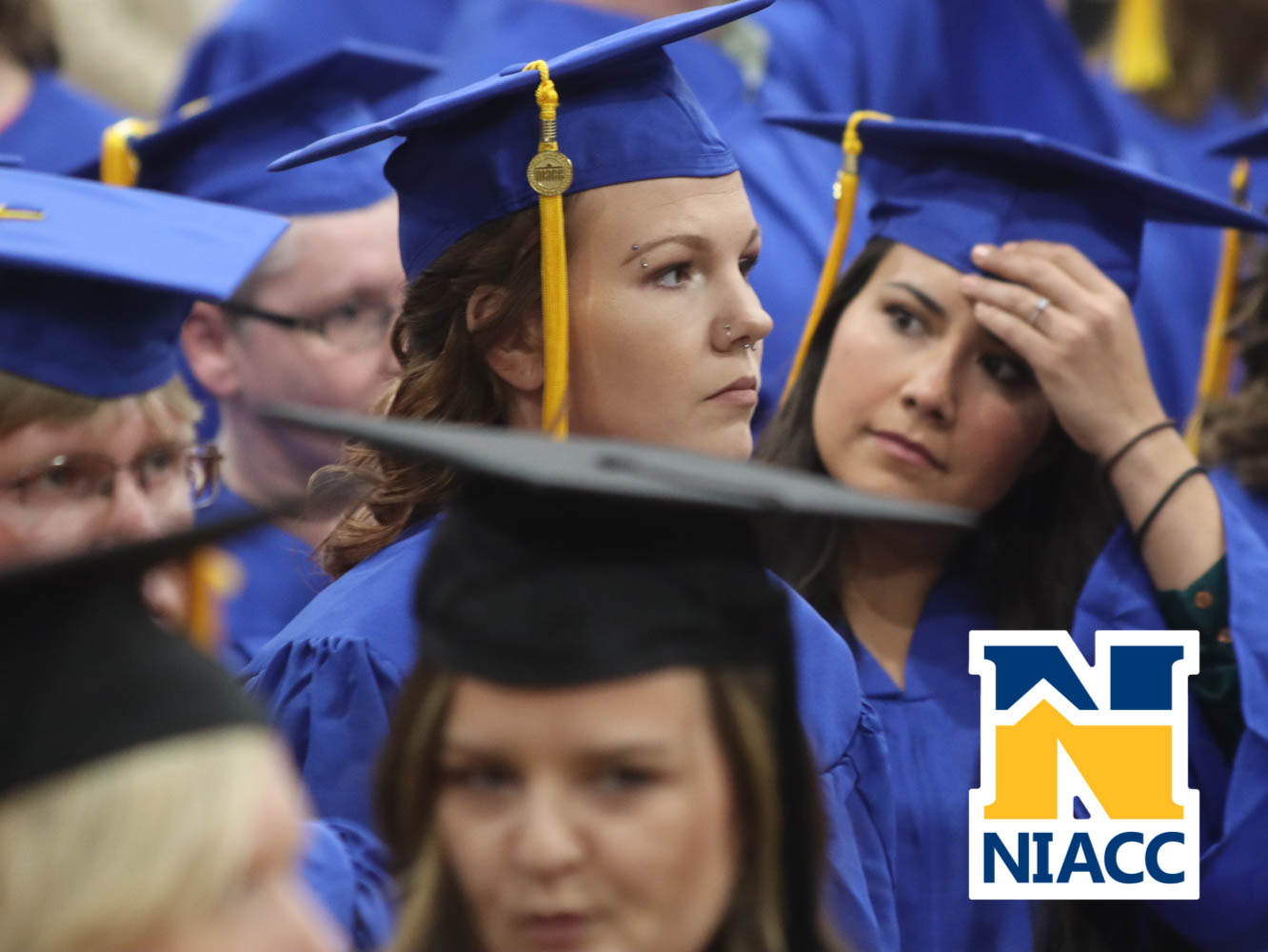 niacc_grad-22