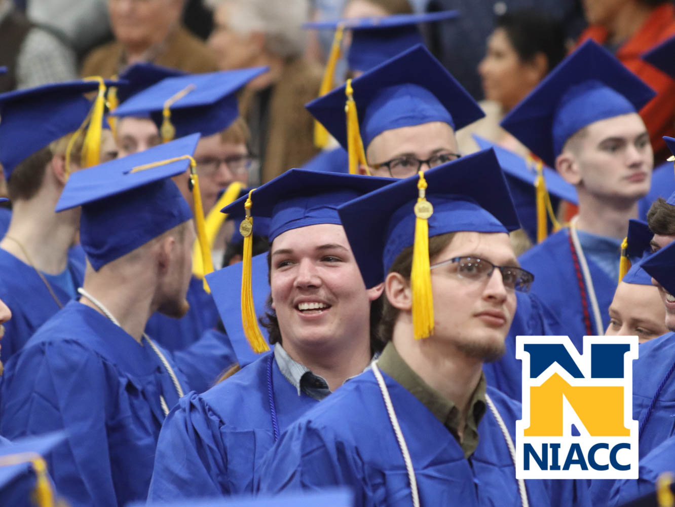 niacc_grad-24