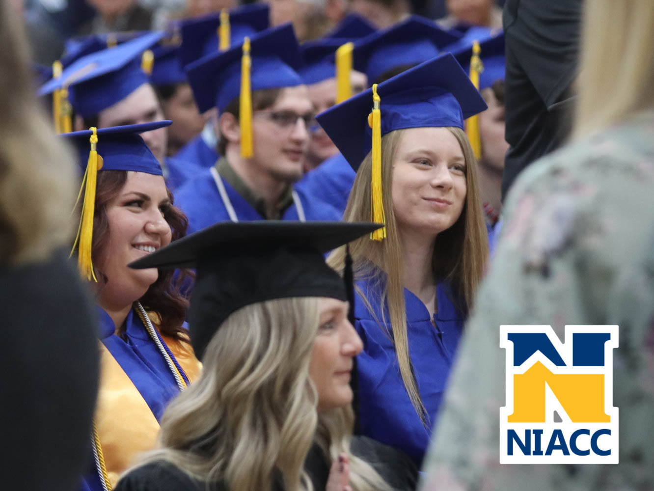 niacc_grad-28