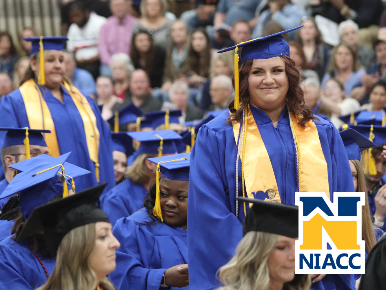 niacc_grad-30