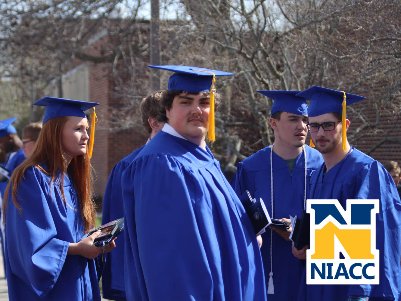 niacc_grad-90