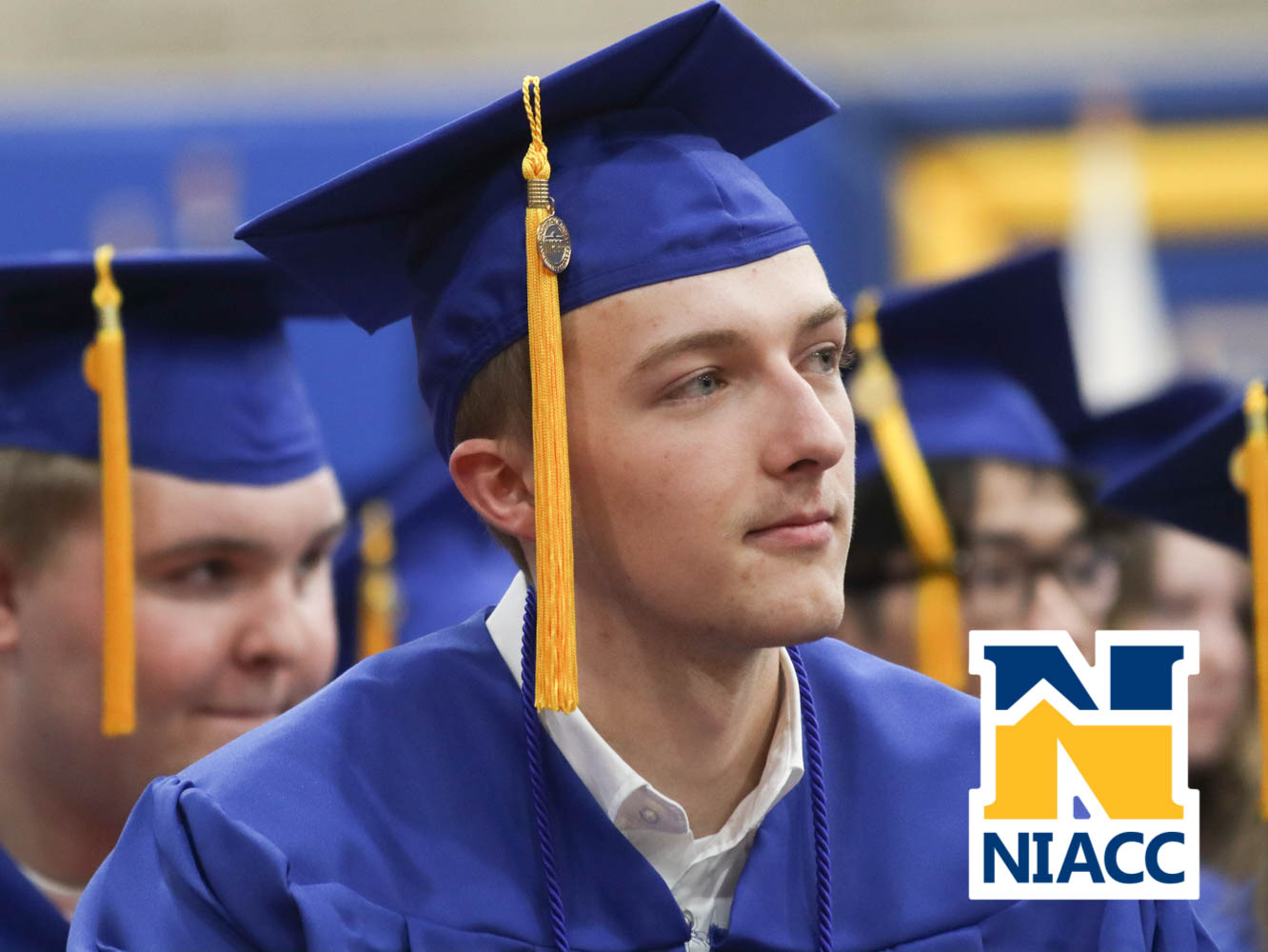 niacc_grad-96