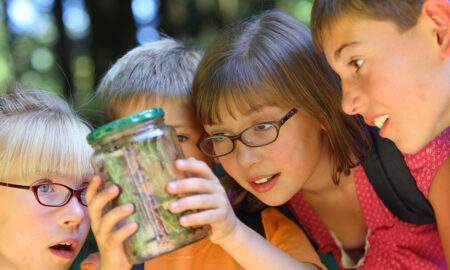 Children looking at a bug in a jar