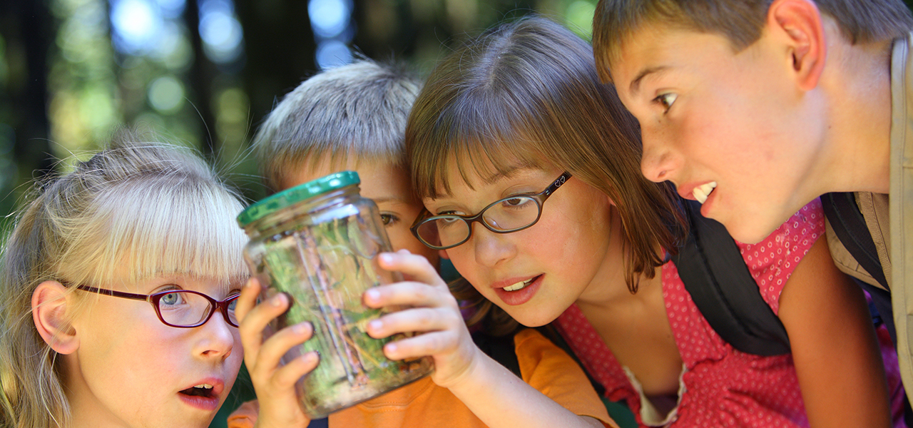 Children looking at a bug in a jar