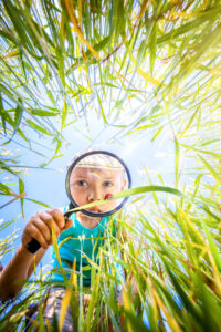 boys looking at ladybug through magnifying glass