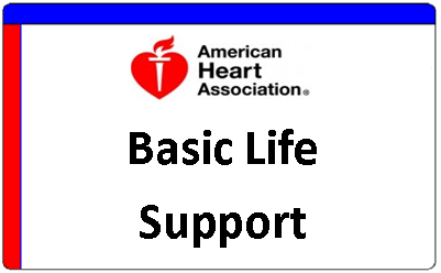 Basic Life Support Card