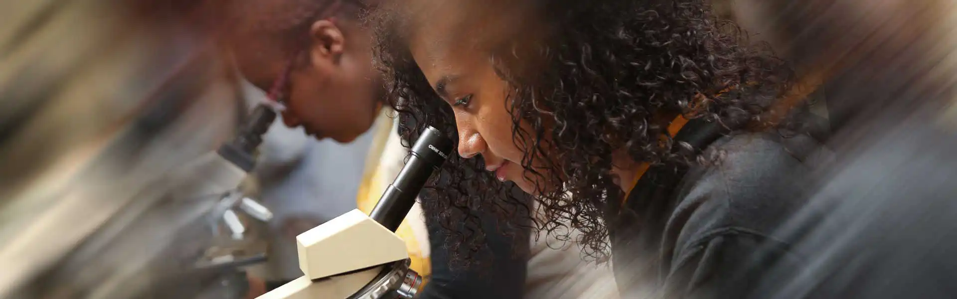 Students looking through a microscope