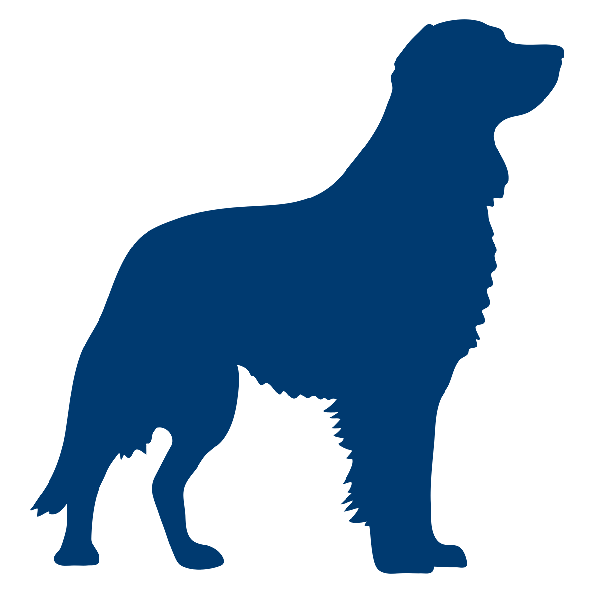Silhouette of a large dog with a sturdy frame, resembling a Golden Retriever.