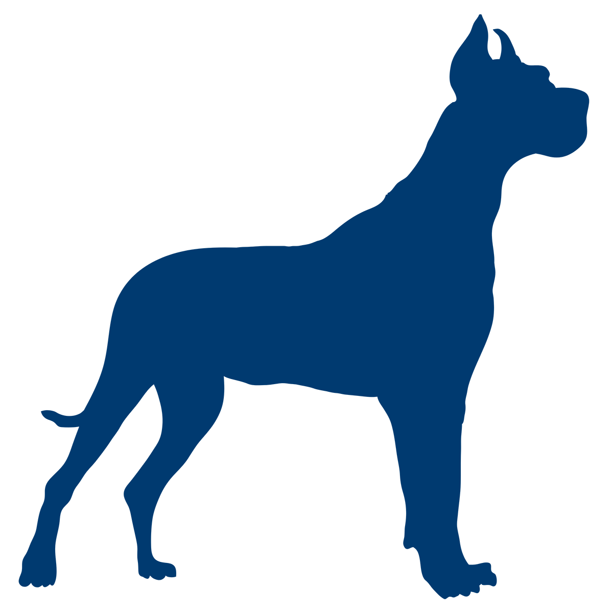 Silhouette of an extra-large, muscular dog with cropped ears, resembling a Great Dane or Boxer.